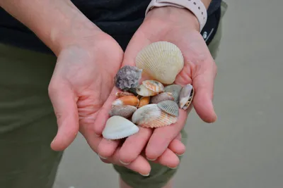 DSC_5449 (Large).JPG